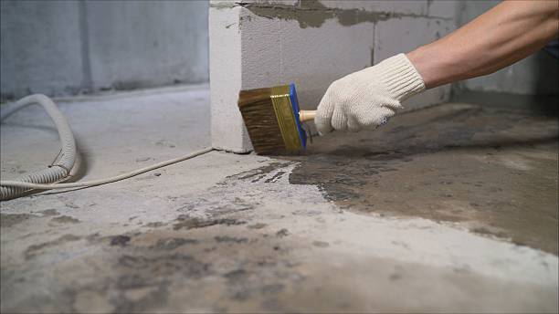 SJ Waterproofing Pros Waterproofing coverage map for Morris, IL and surrounding area